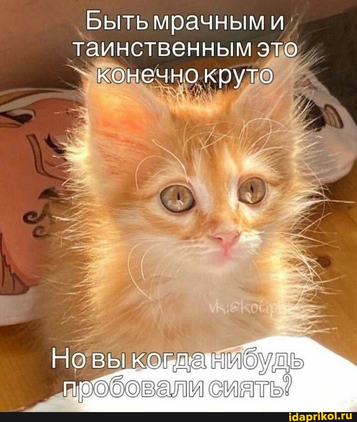 542006e89890c06d6d237c8f27b954d8de93f1c66dee40e43d3b01c91f0b623b_1.jpg